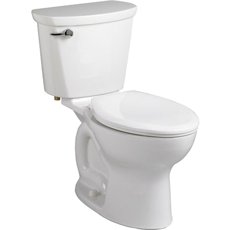 粗糙的白色美国标准学员专业拉长