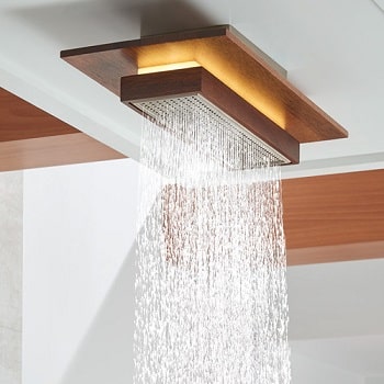 来自frank Lloyd Wright系列的雨淋喷头